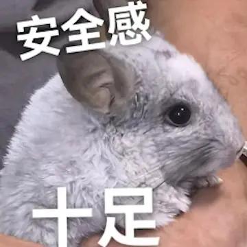 不用熬夜加班攒那份安全感