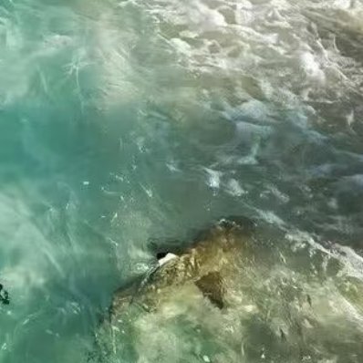 与其纠结过往遗憾，不如专注当下前行，收起迷茫和懒惰，踏实做好每一件事，日子自会慢