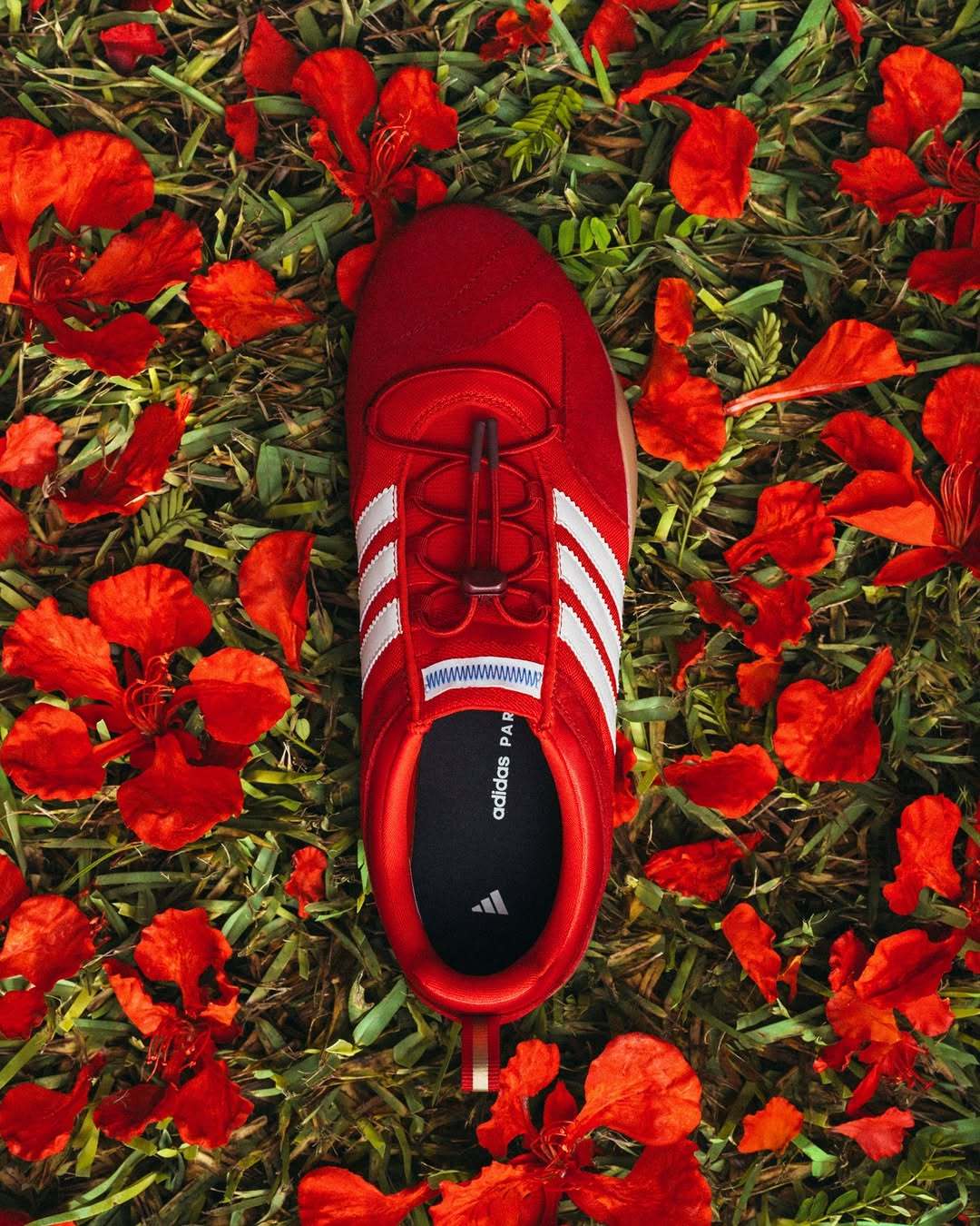 Bad Bunny x adidas BallerinaFlamboyán配色B