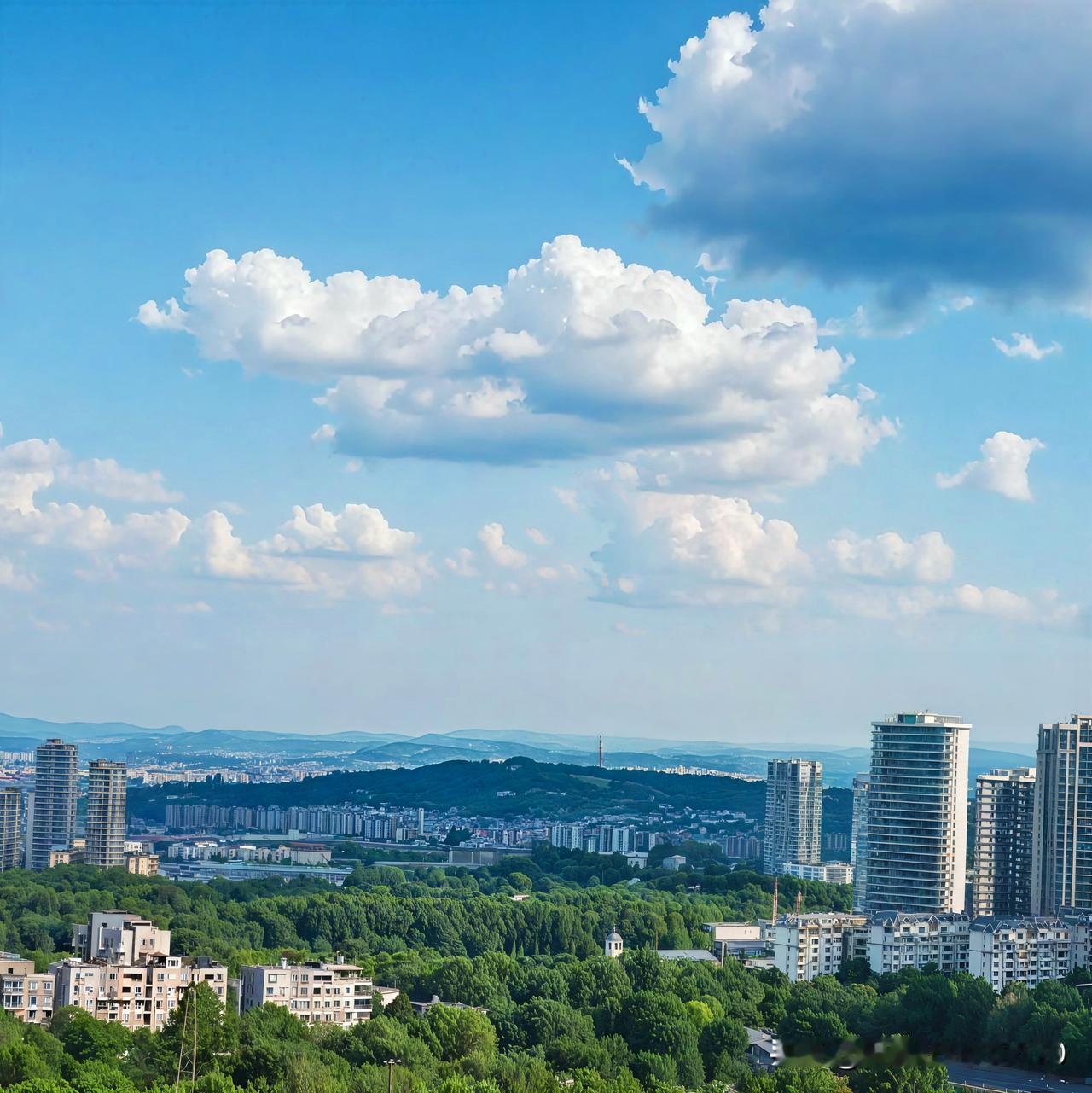 最近下班绕路走了趟湛河沿岸，才发现城市的夏天早就换了模样。
7月底的风裹着点河水