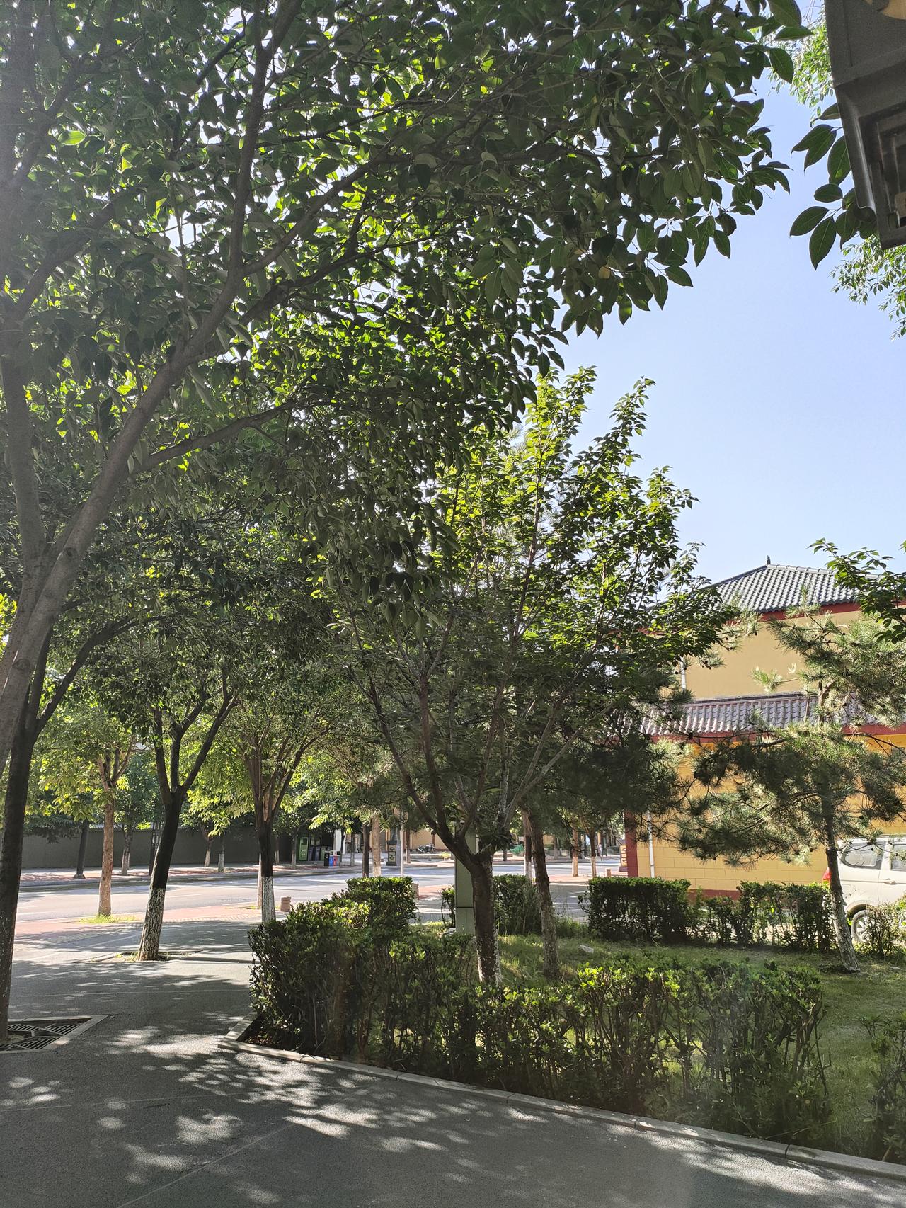 过去严格文理分科，所有人统一科目，靠背记刷题就能应试；如今推行3+1+2新高考，