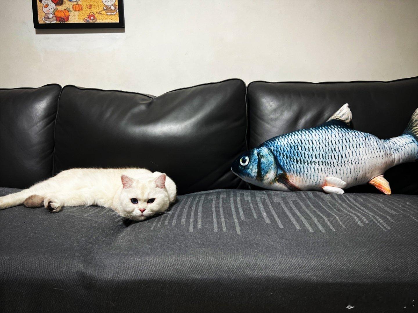 大S邻居不满小S将姐姐骨灰放家中 媒体不要什么都报道！人家的家事弄得人尽皆知…凡