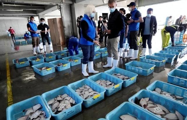 日本排放核水后，奇怪的事发生了：刚开始各国对海鲜避之不及，可三年过去，海鲜市场却