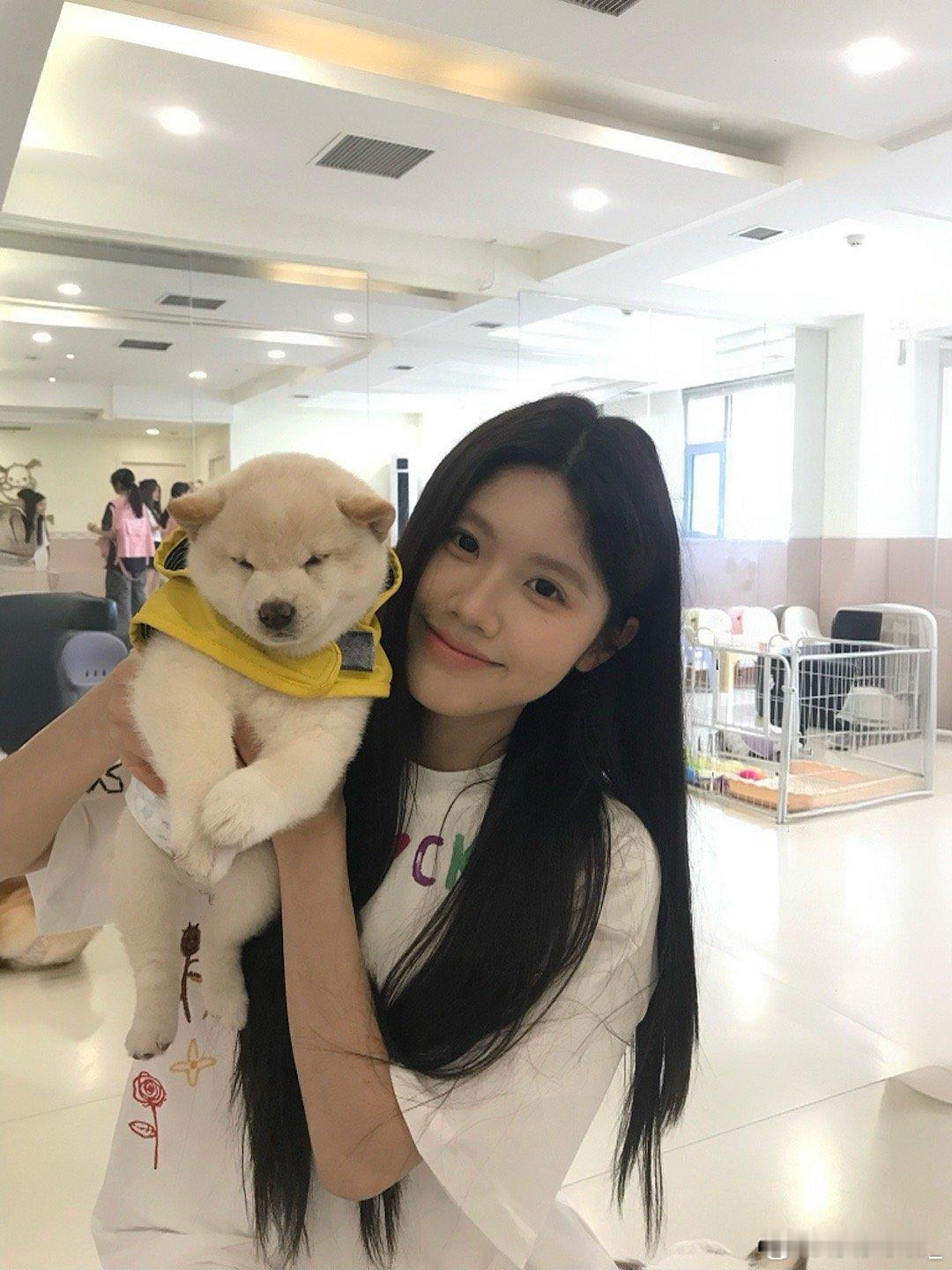 好多🐶🐶 ​​​