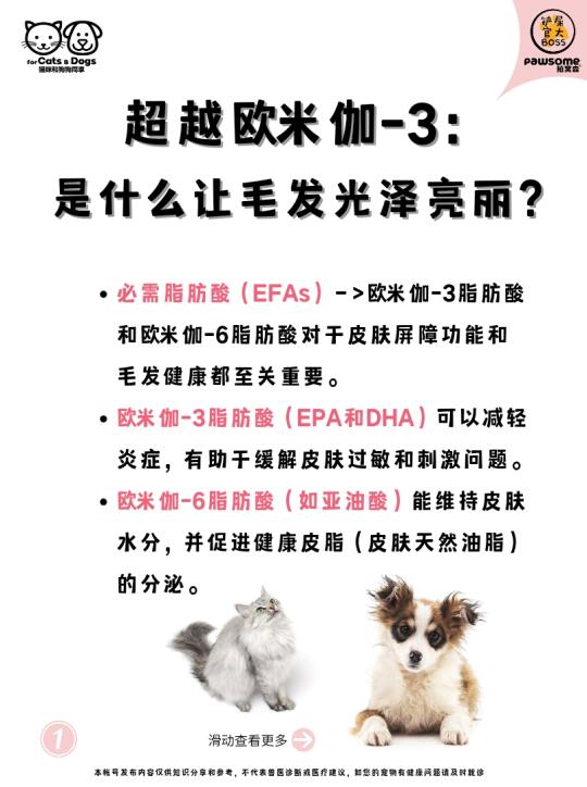 超越欧米伽-3:是什么让毛发光泽亮丽？