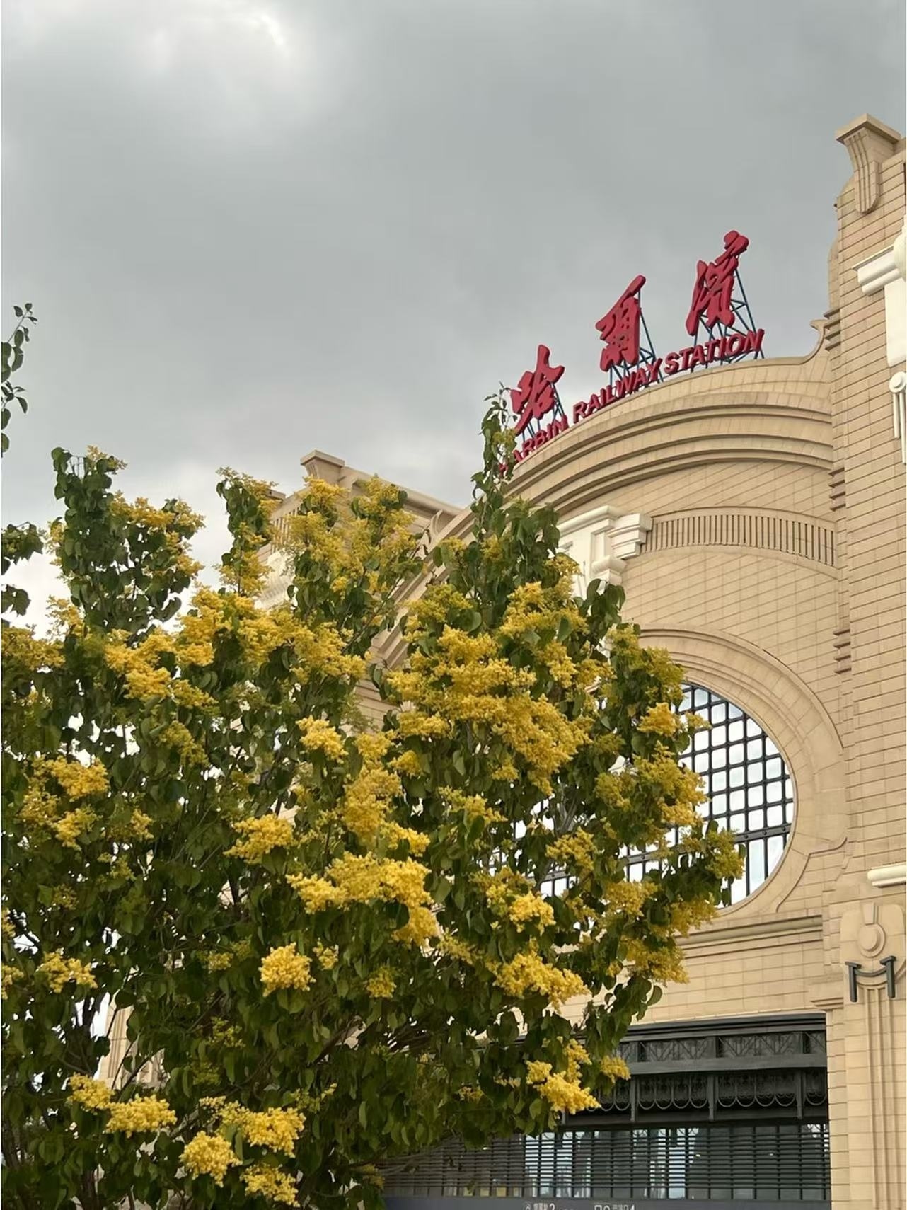 女生要会骑马，男生要会推车。坐马的时候起伏越高越容易羔炒恋爱恋爱[超话]plog