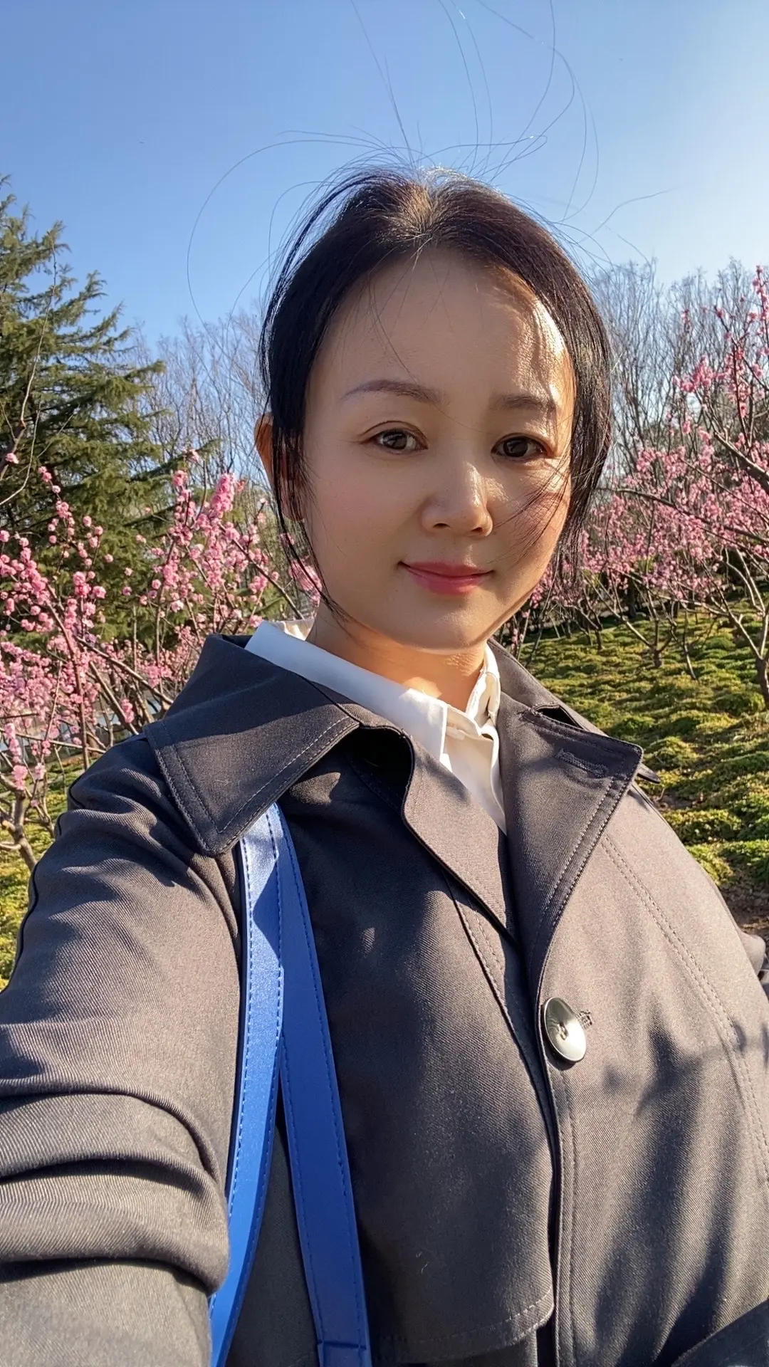 春分，昼夜均分，寒暑平衡。绿满枝，燕筑梁，陌上花开，百鸟争鸣，草长莺飞...
