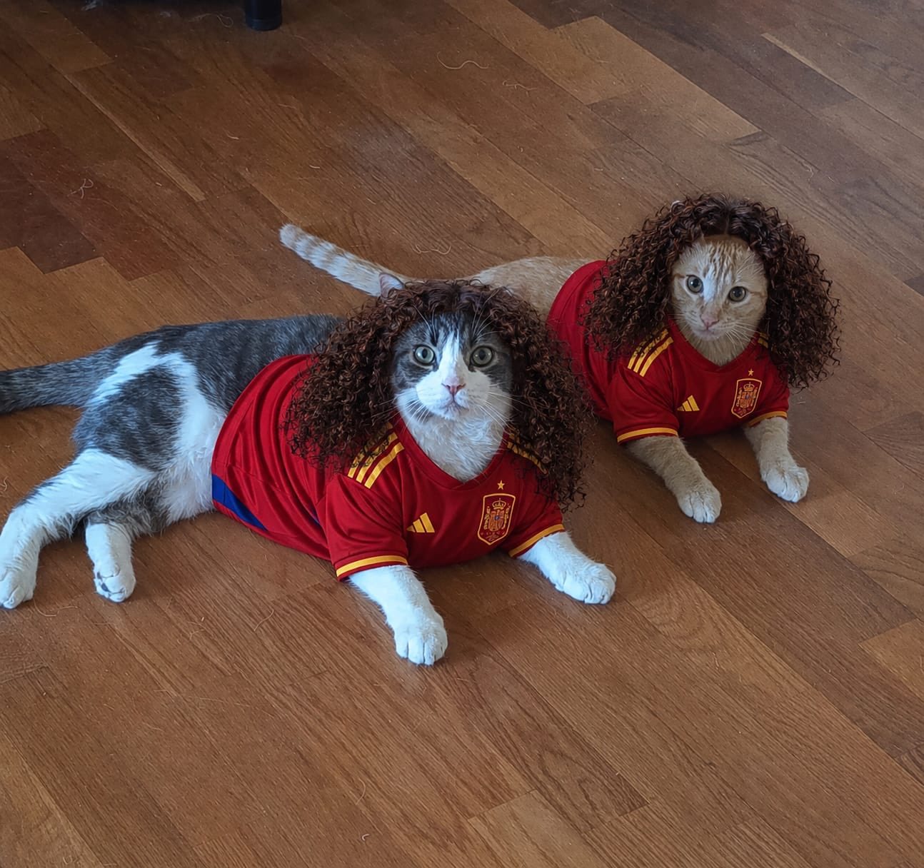 《世界终于清净了》🐱世界杯西班牙1比0阿根廷