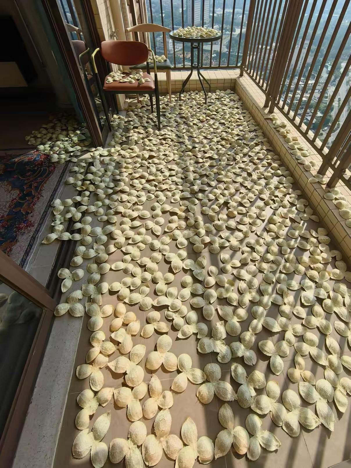 谁都不服，就服我老婆，这玩意到处都有卖，非得在家里自己晒……[泪奔]