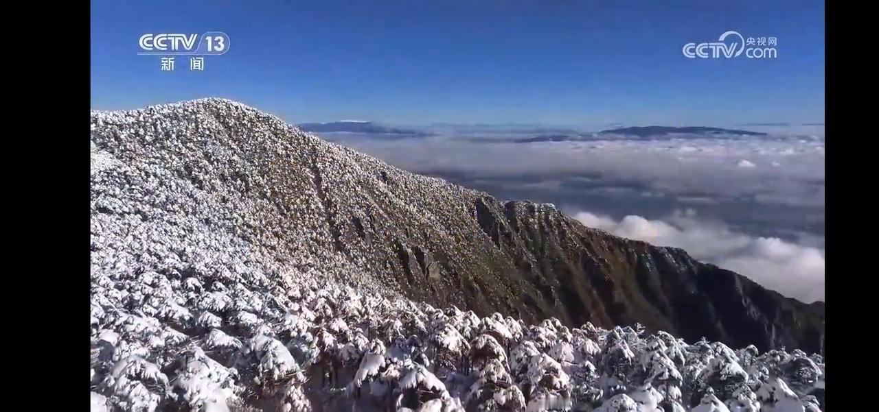 然后你会惊讶于，这些幸福感的来源不过是生活中那些习以为常的事物，平时的每一天都可