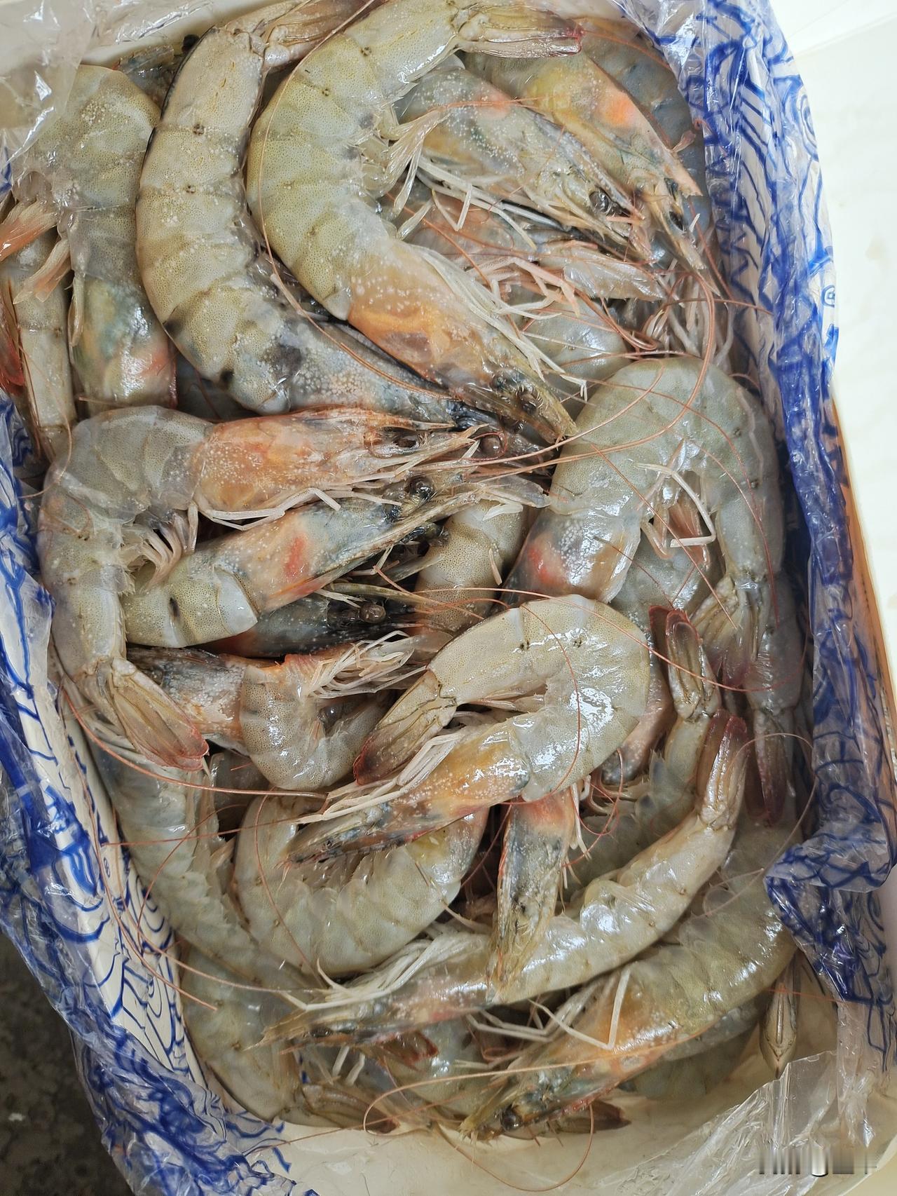 如果是我，这个季节一个人吃的话，一个冲菜活着红豆腐就可以了，再或者就是一万宜宾芽