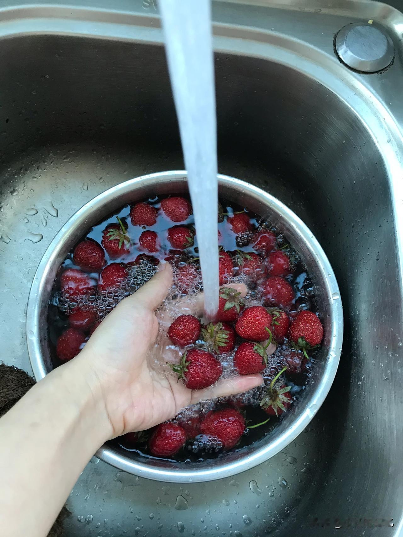 草莓 农村自家种的草莓🍓，你们吃过吗？看这颜色鲜亮的，血红色，比外面大棚种的绿