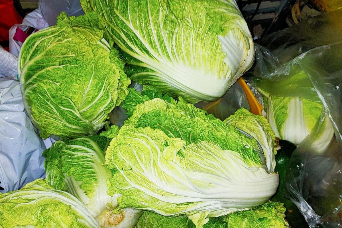 买白菜时，牢记“5不买”，打1折也别要，菜贩：我从不给家里人吃
购买大白菜时要注