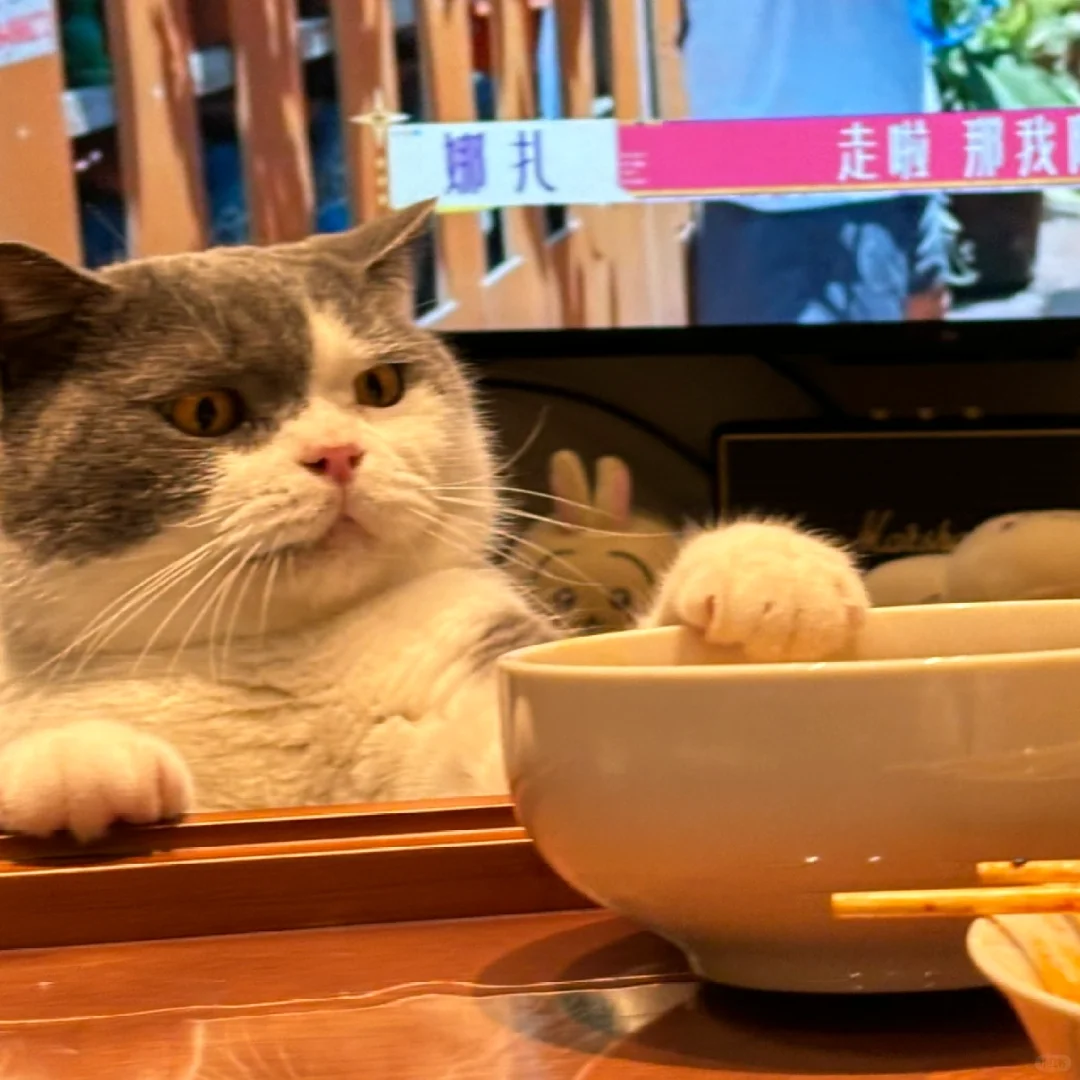 拿来吧你