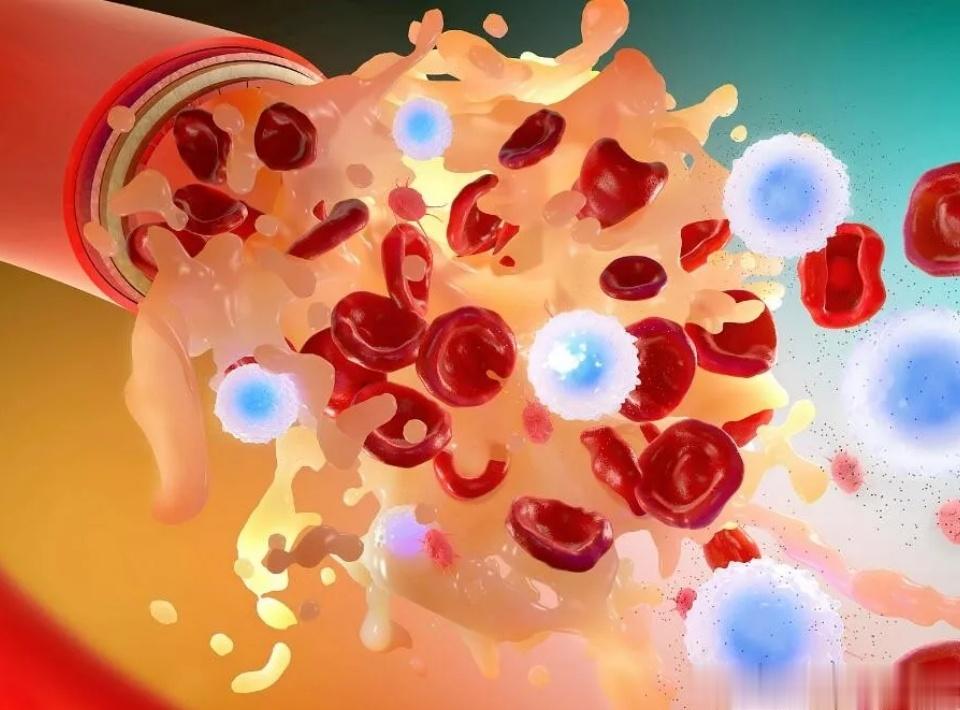 血管越强，寿命越长！6个血管“清道夫”，助您强血管！1、健康饮食：采用均衡的饮食