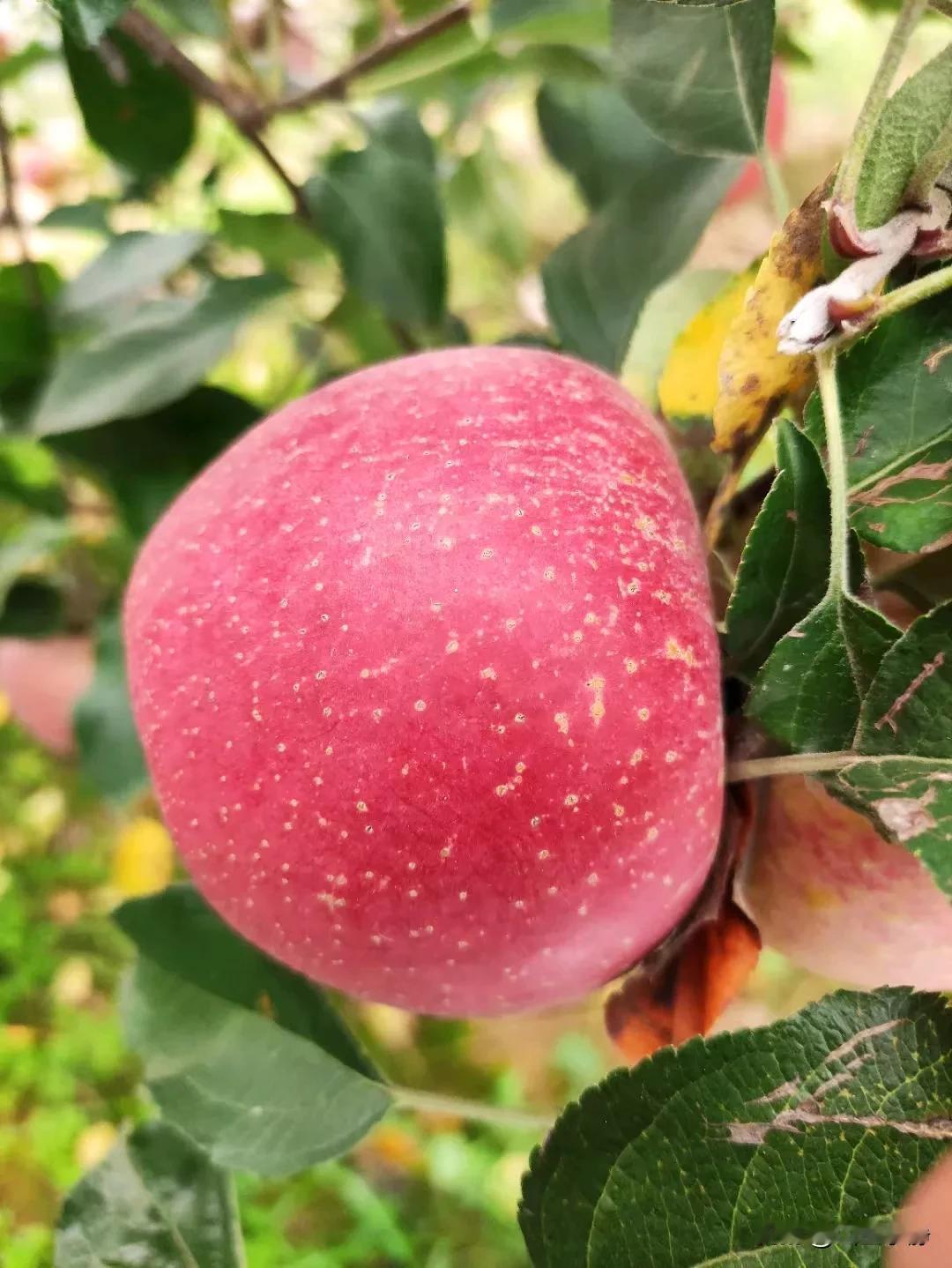 不管做什么事，总有人相信，有人怀疑，有人嘲弄，有人观望，机会在自己手里，不在别人