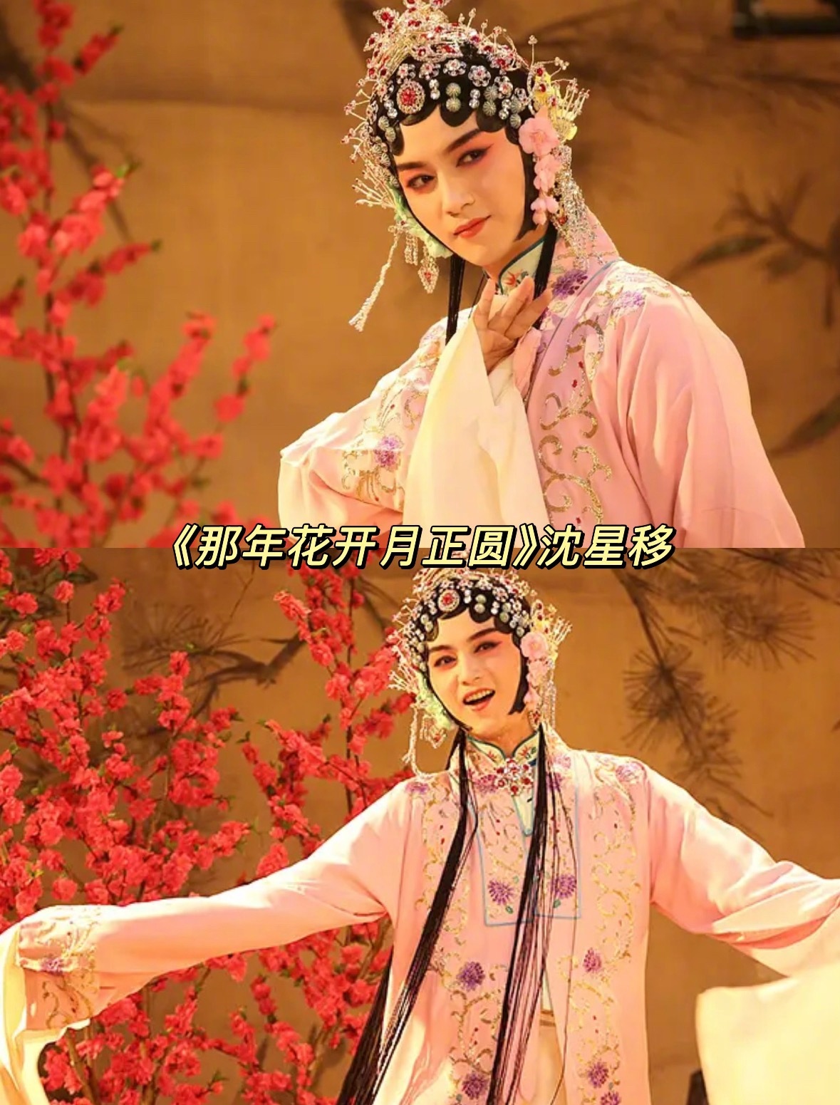 一些男星的戏曲装扮，传统文化的精粹，需要文化工作者发扬出去《鬓边不是海棠红》 尹