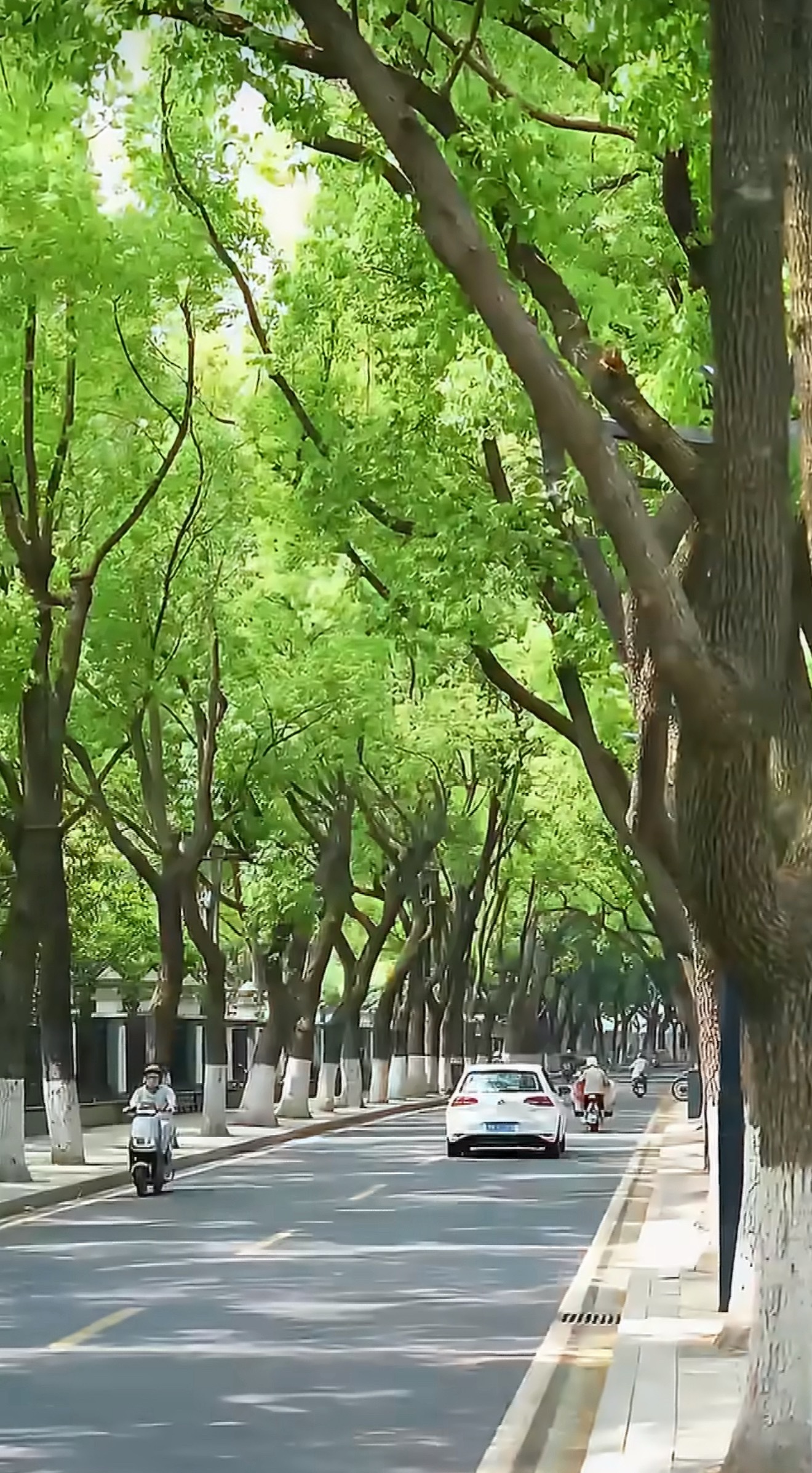 常州电力美得像景点运河岸戚墅堰冷却塔身披炫彩涂装，入夜灯火映河面，老工业设施变身