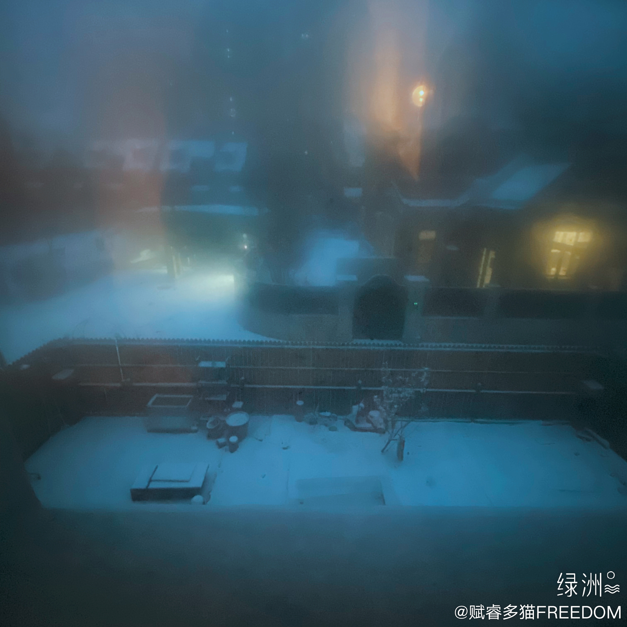 终于下雪啦~~~ 