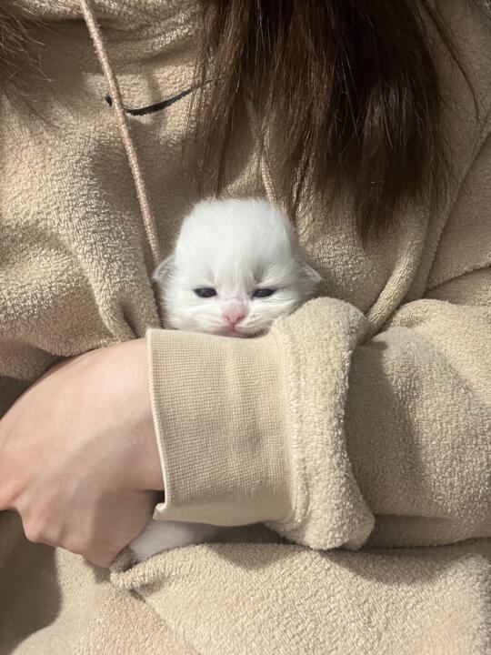 就这么委委屈屈滴长大噜～
