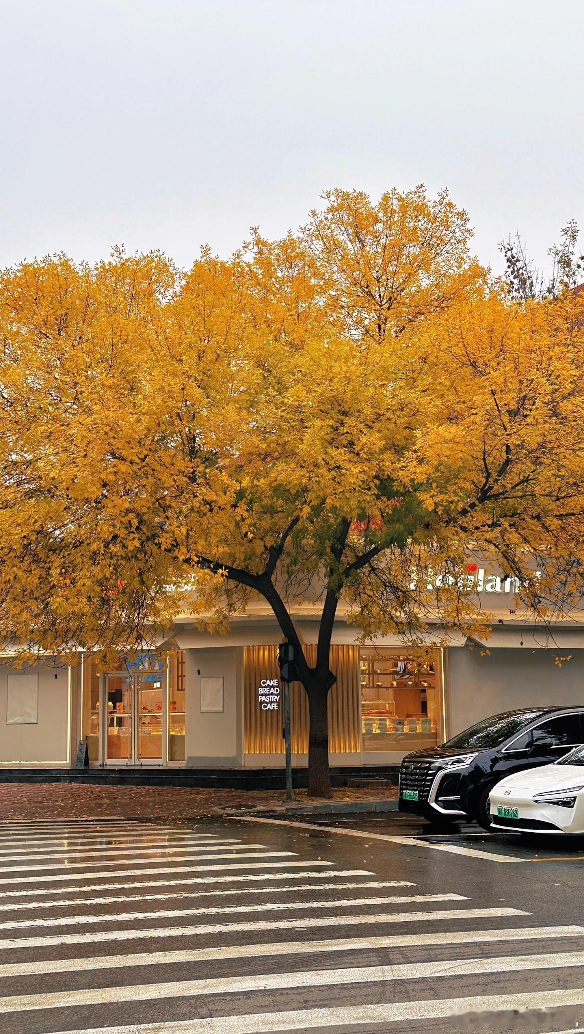 Autumn🍂  ​​​