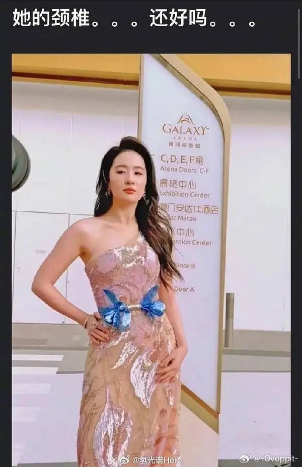 向太说刘亦菲14岁已谈吐惊人向太说刘亦菲14岁已谈吐惊人 向太说刘亦菲十四岁谈吐