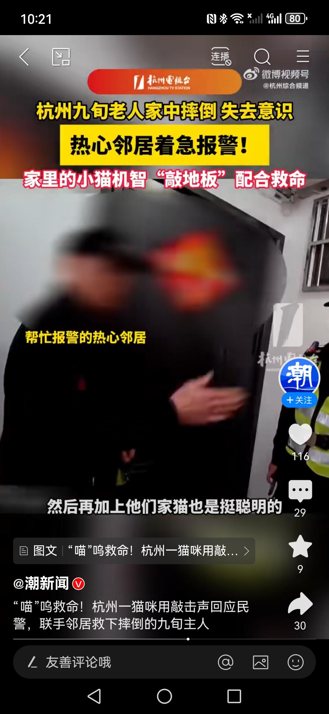 “喵”呜救命！杭州一猫咪用敲击声回应民警，联手邻居救下摔倒的九旬主人

“喵”呜