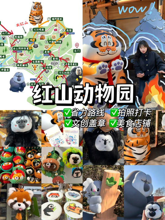 红山动物园一日游‼️游玩拍照➕文创美食