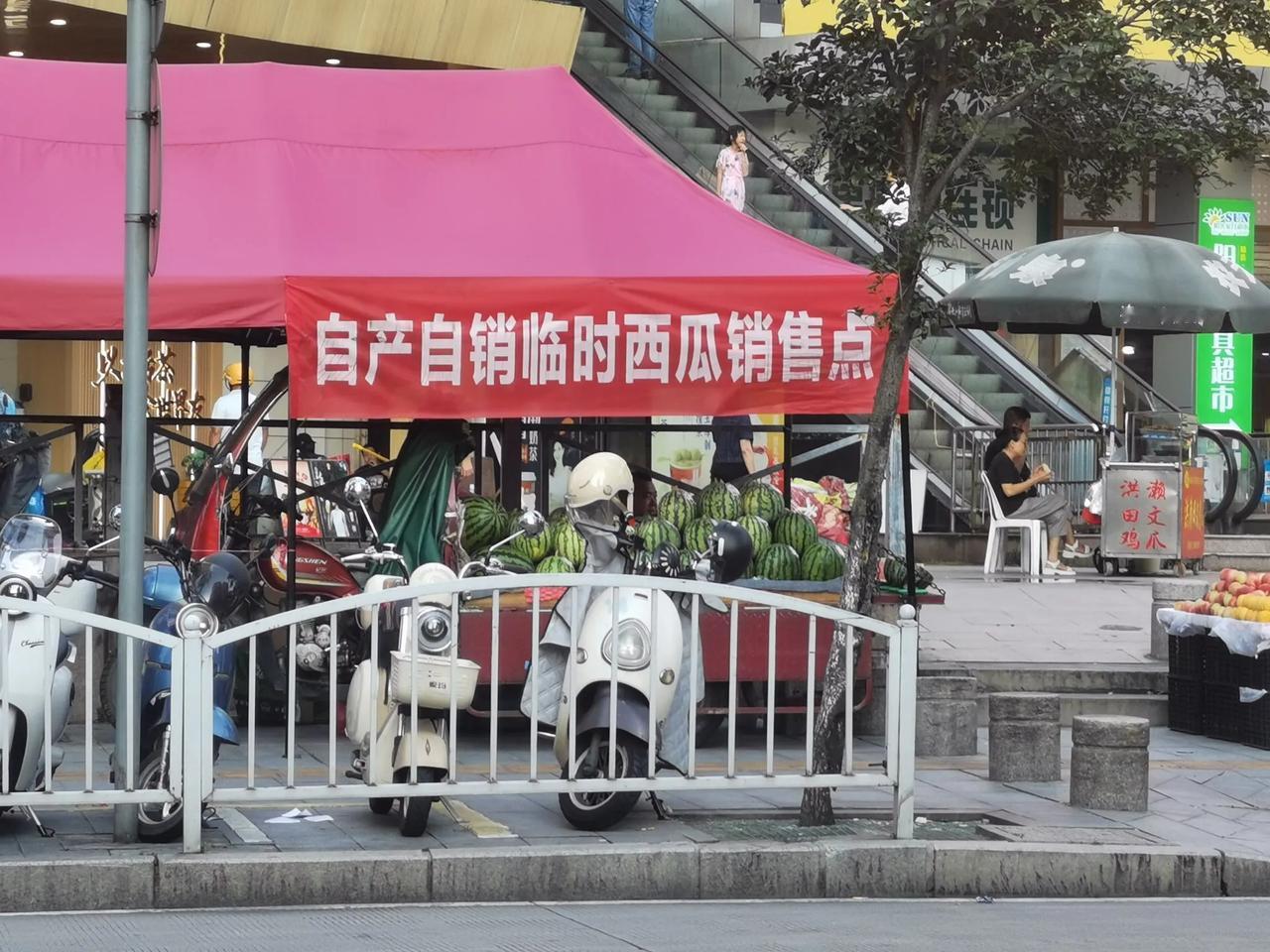 在路旁看到一条横幅“自产自销临时西瓜销售点”，天气热了，又是西瓜大量上市的季节。
