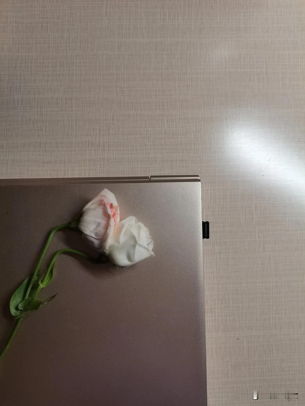 我发现自媒体要想赚钱，关键的一点要做价值输出。

不论是情绪价值，还是干货，内容