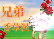 珍椰酱顶美针叶浆