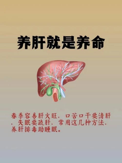 立秋养肝正当时，科学养生别错过

今日立秋，养生关键期已至，科学养肝刻不容缓！