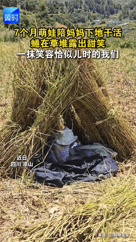 近日，四川凉山，7个月大宝宝陪妈妈在地里干农活，妈妈担心宝宝晒，就随手简单地搭了