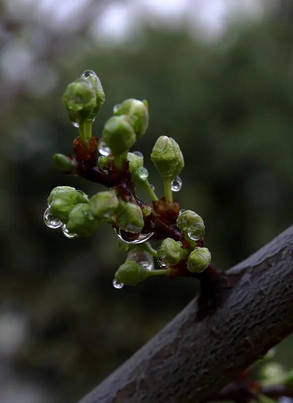 看到“片片绿叶送和风”这句下联，一下子就感觉有股清新的气息扑面而来。有人对出“点