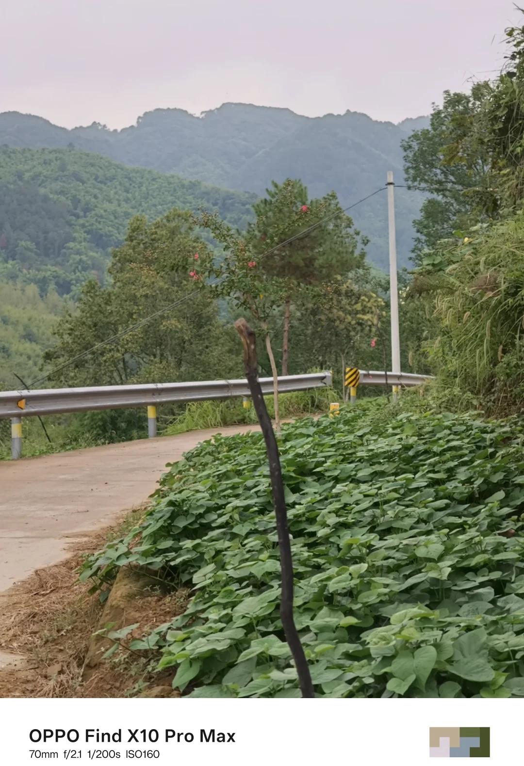 一路山野随拍，全部是OPPO Find X10 Pro Max直出。不管是广角拍