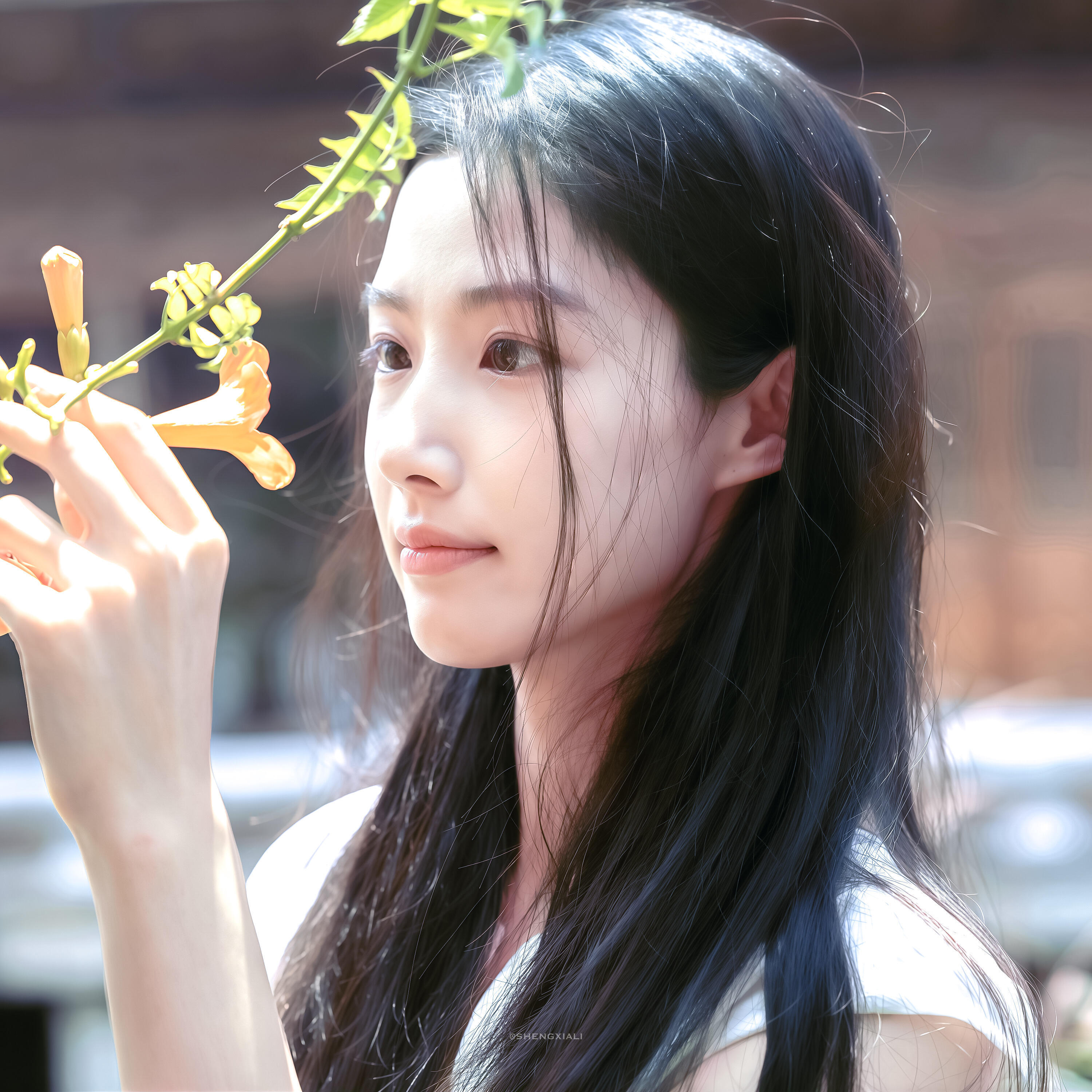 -𝐒𝐇𝐀𝐑𝐄｜卢昱晓头像背景图搭配 ⸝⸝💐꙳🍀◟🍃。 