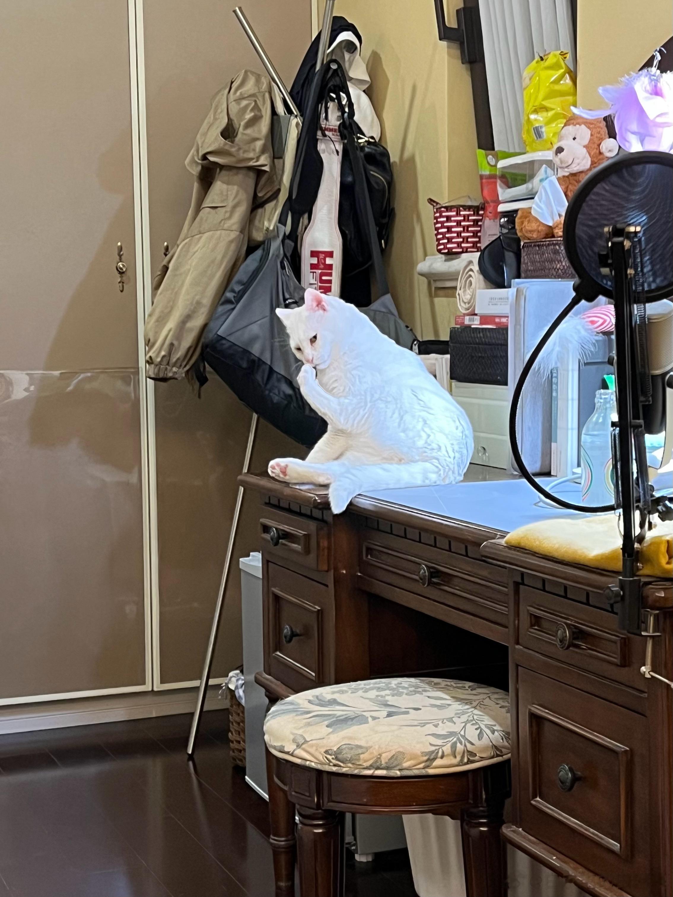赖赖刚睡醒就啃他的臭脚…… ​​​