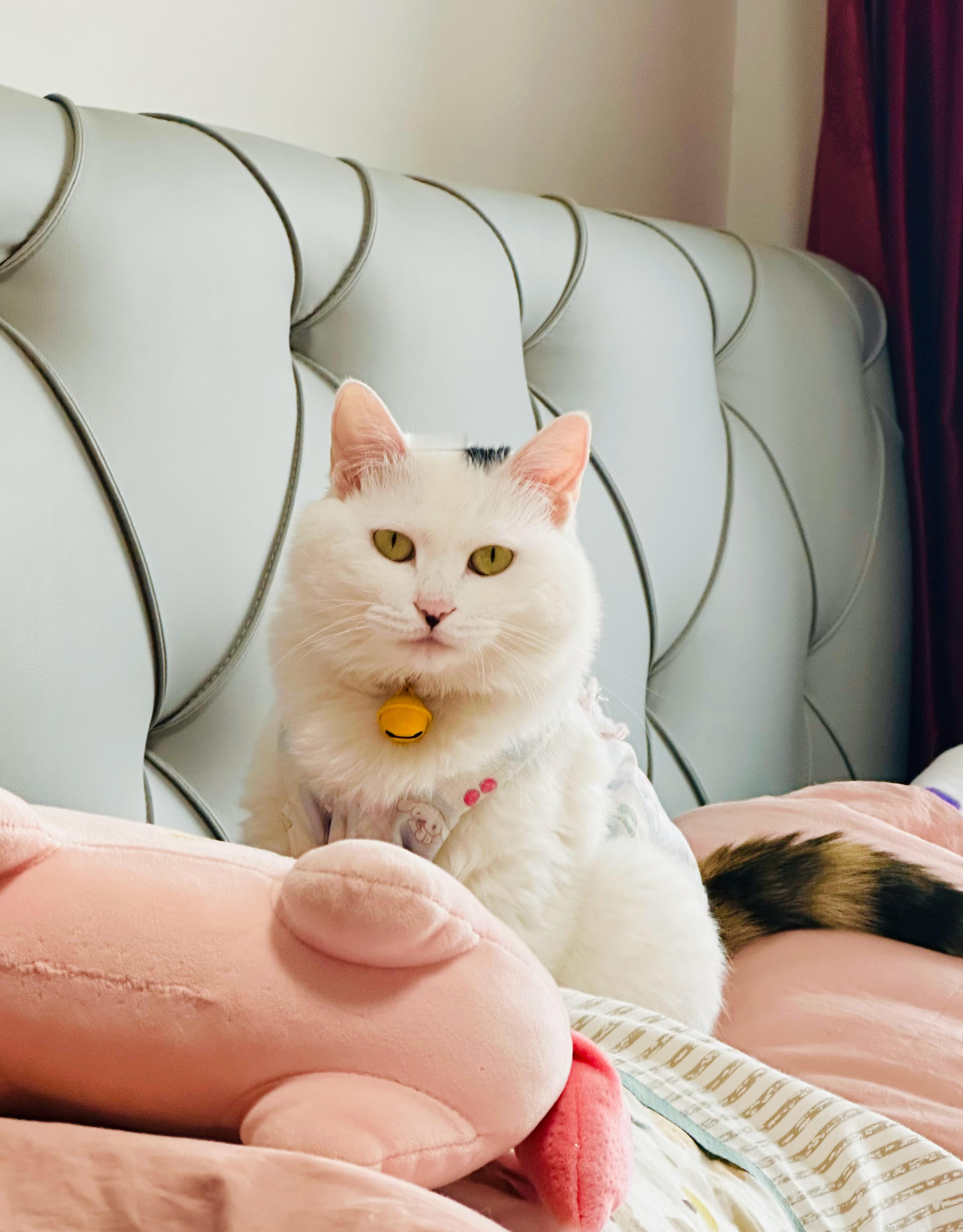 人如果自己内在的定力足够，外在的能力足够，是没有时间、精力和心力去嫌弃别人的。 