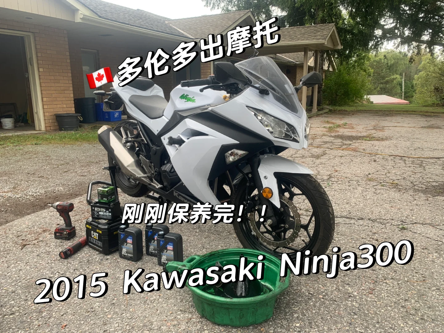 🇨🇦出一台刚保养完的Ninja300