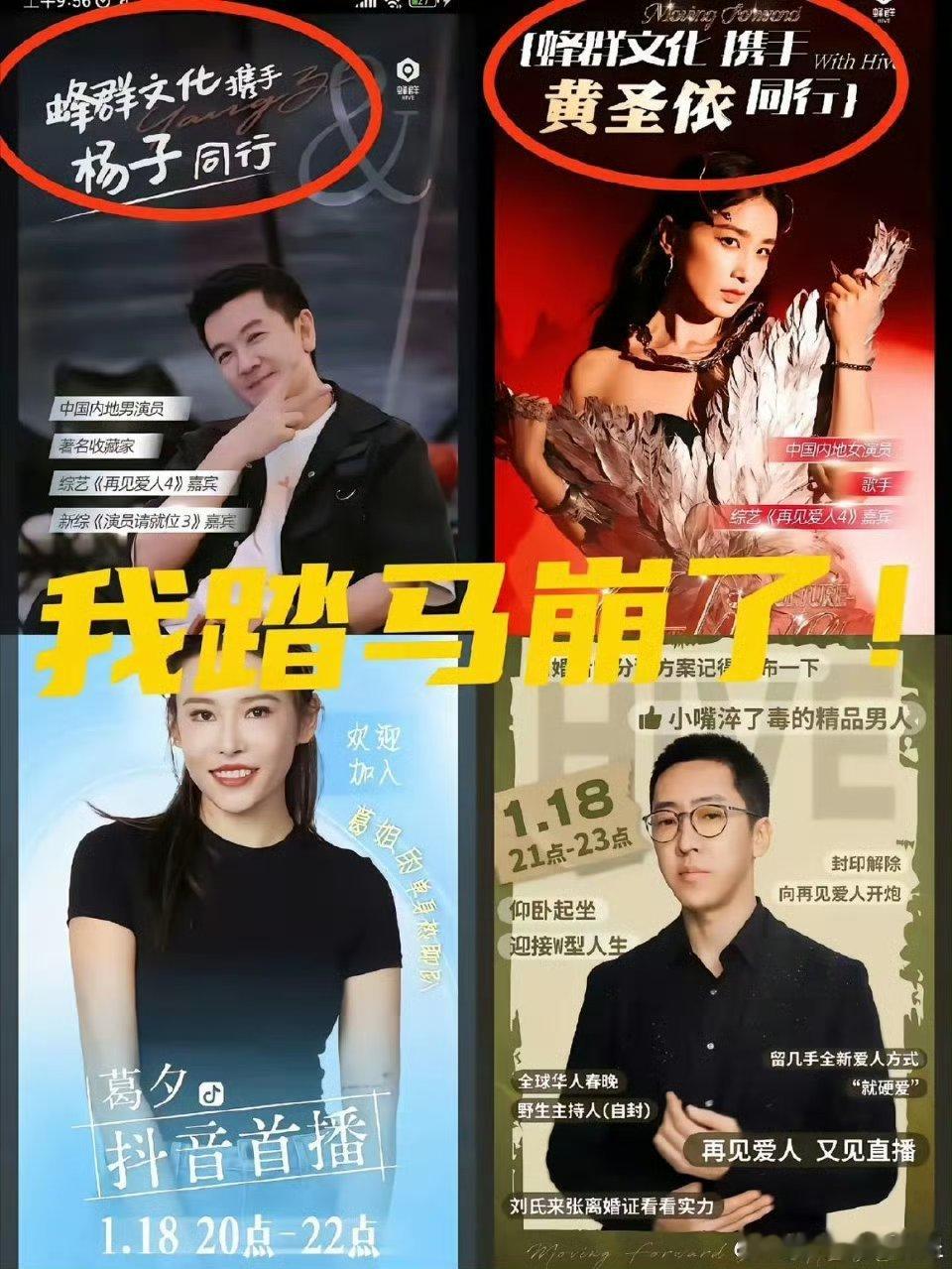 杨子黄圣依葛夕留几手签约蜂群 ，以后看综艺再也不用真感情了，为他们的爱情哭愁，他