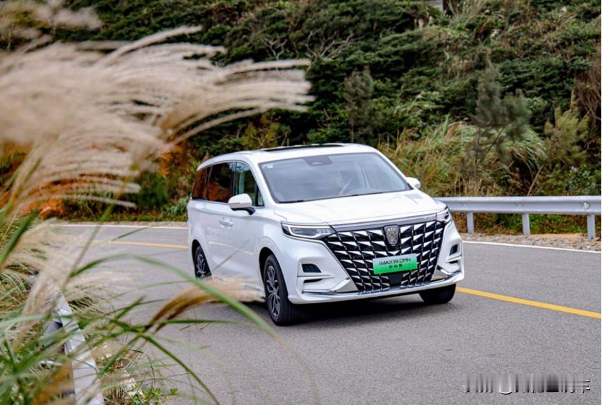 纵观当下新能源高端家用MPV市场，哪款车型值得家庭用户考虑呢？关于这个问题，新近