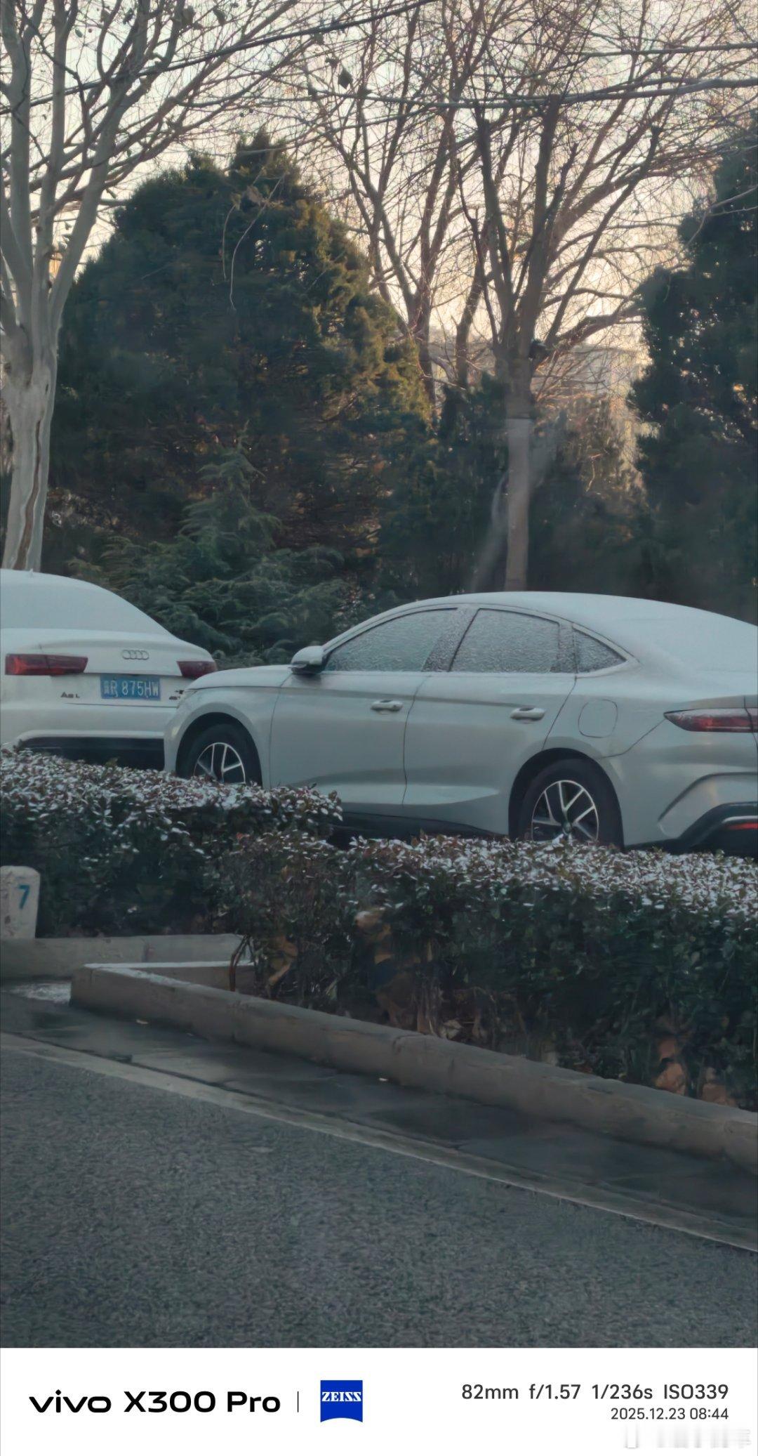 北京昨晚又下雪了？北京下雪启子的日常日常分享