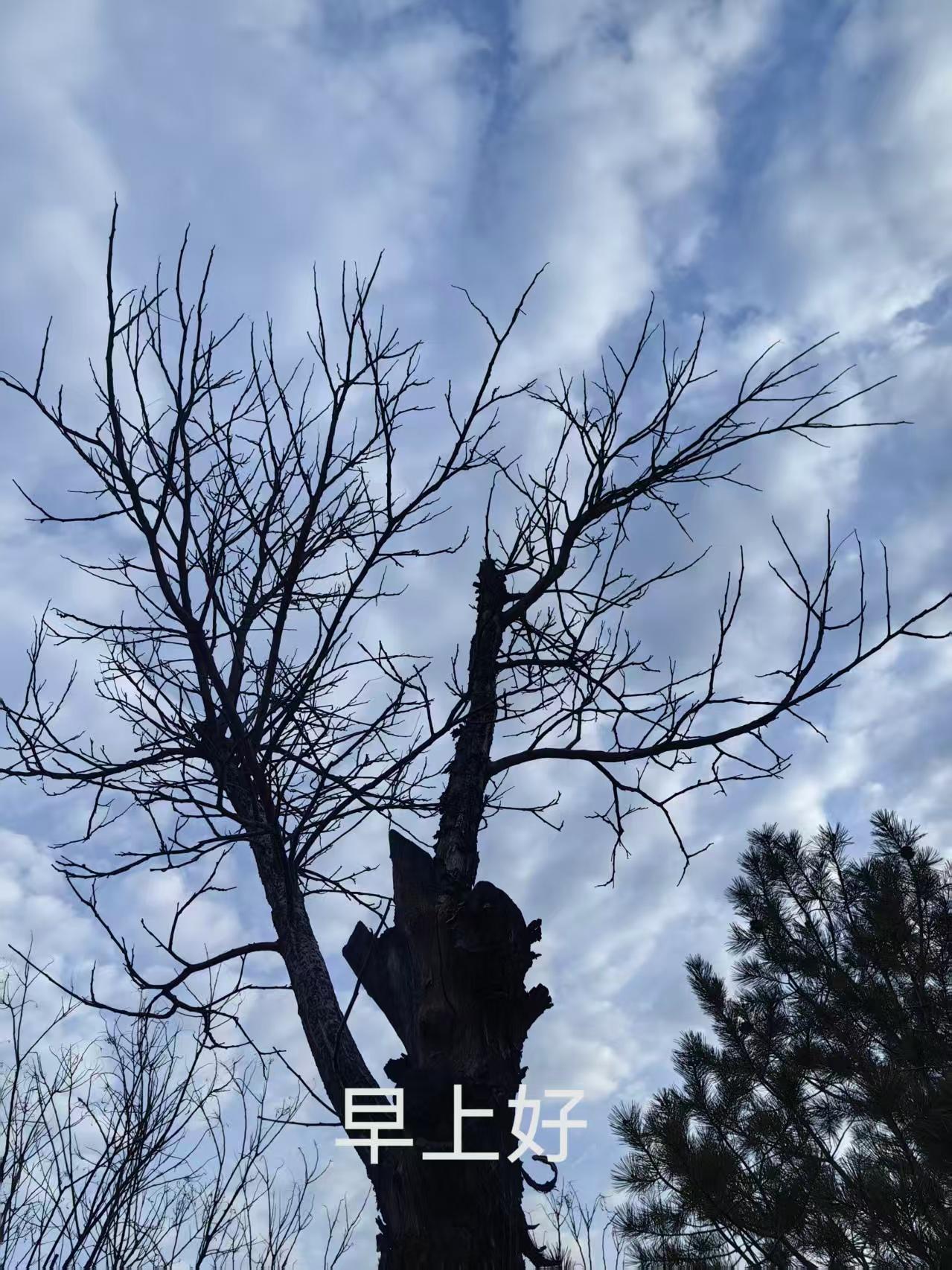 讲话好坚定。大家一下子就静了下来。我的勇气好像恢复了。然后醒来了，这个梦，就记录