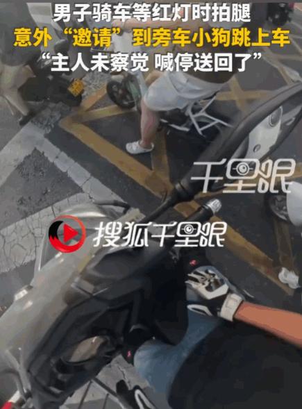 拍腿就是暗号！河南，一男子骑车等红灯，因天气炎热，他下意识地拍了拍大腿。没曾想，