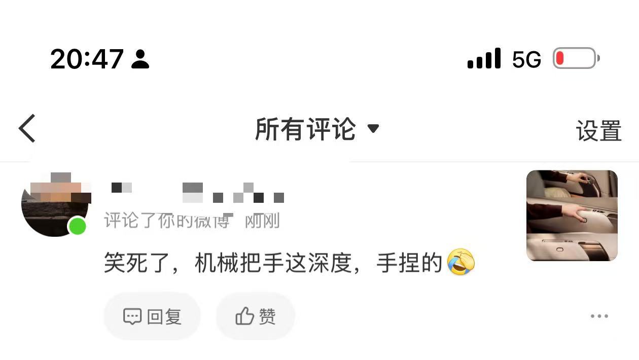 看到一个嘲笑理想 L9 Livis 机械门把手的，估计丫根本不知道这只是应急门把