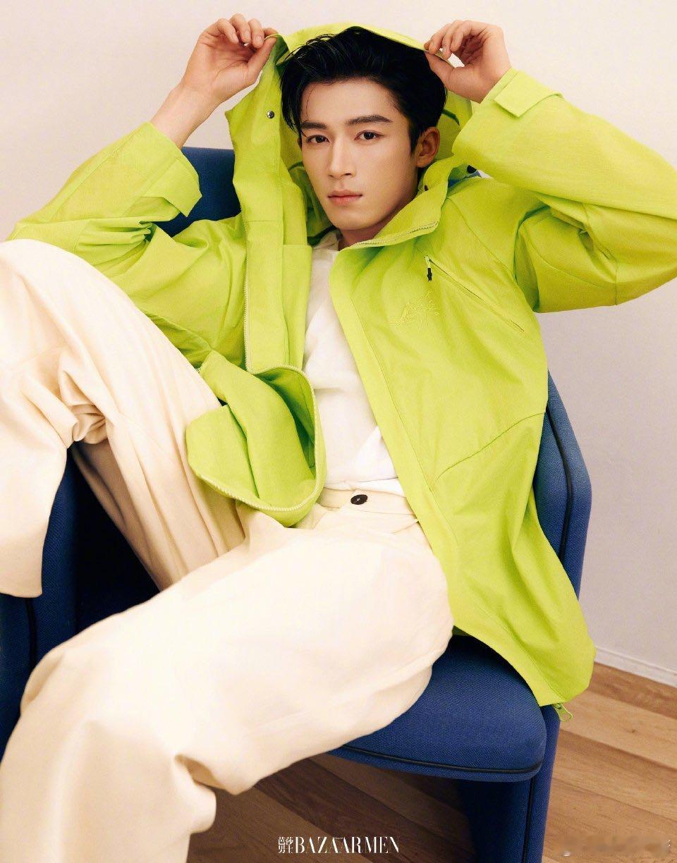 王星越巨型香叶托着少年心事，光影在叶脉间跳圆舞曲 黄墙映黑衫似梵高调色盘，丝巾字