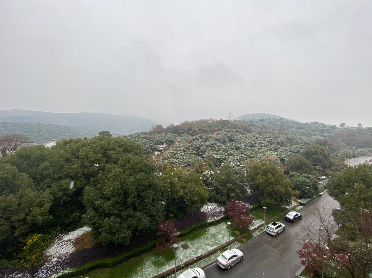 在冷锋到达的时候，昨天终于在苏州东山看到了漫天飞雪的雪景。[呲牙]
在雪中，找了