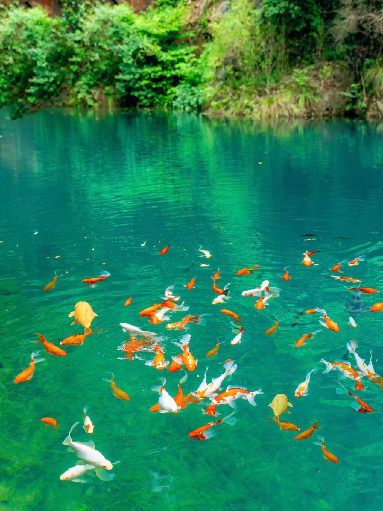我在桐庐上春山，推荐这条春日冷门旅行路线