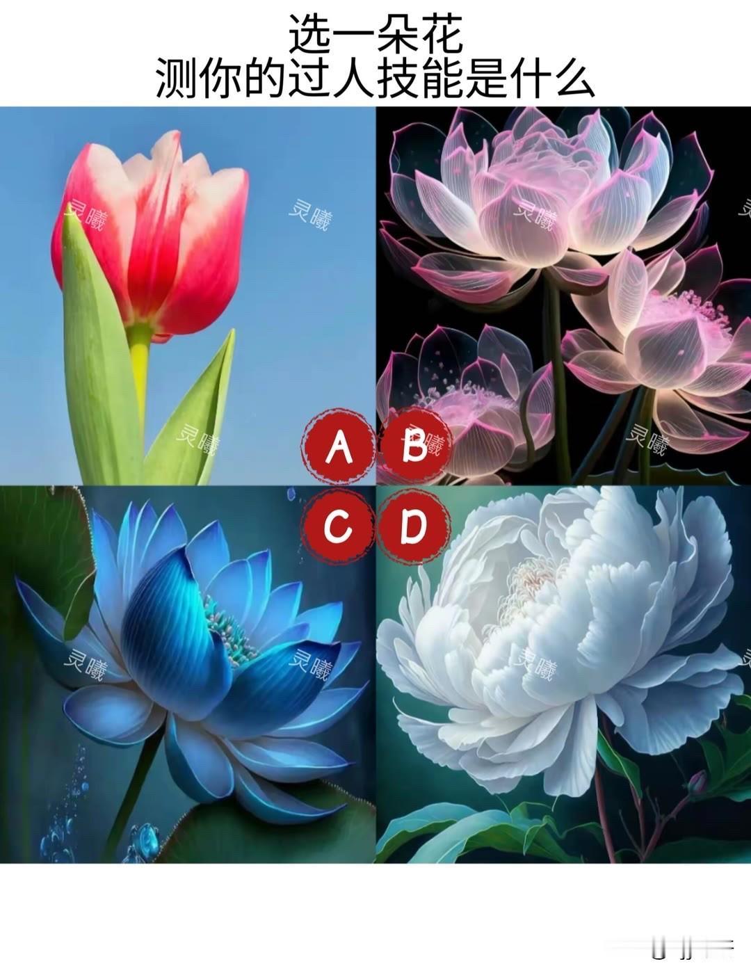 测你的过人技能是什么