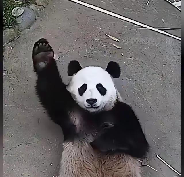 嗨和特乐